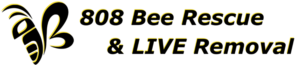 808 Bee Rescue & Live Removal