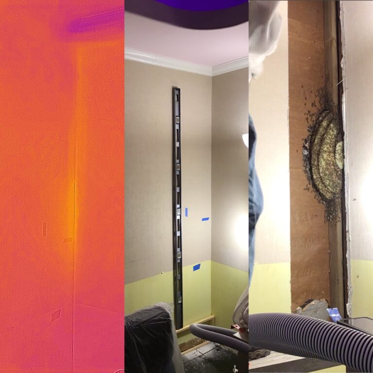 E3A53F67-C826-4CFF-A402-15F6933C549E